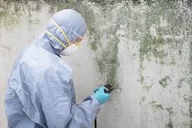 Best Mold Prevention Services  in Sachse, TX